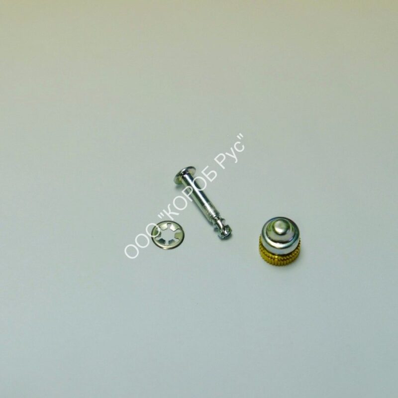 4003501 (5K00001536) Винт крышки автокрышки под крестовое отверстие D 700