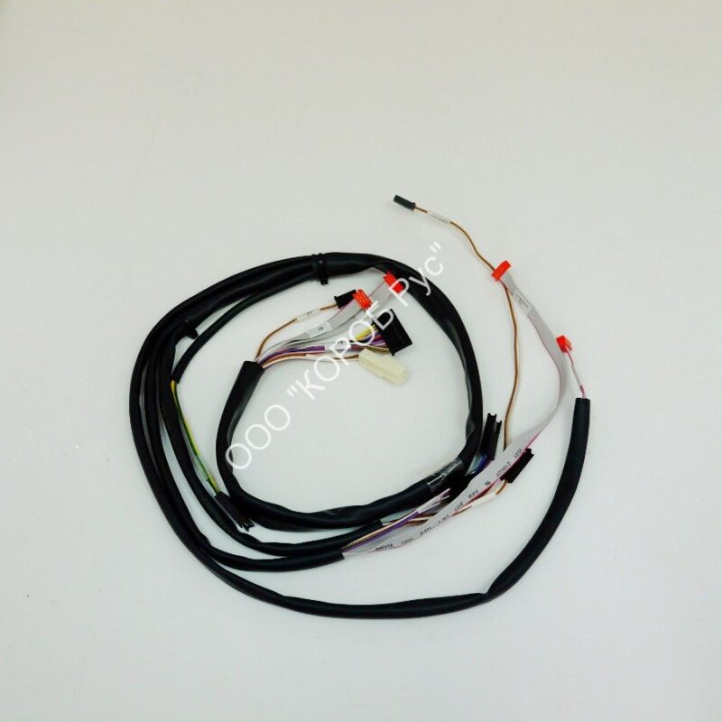 4005427 (65410TC043) Электропроводка FIRST 1