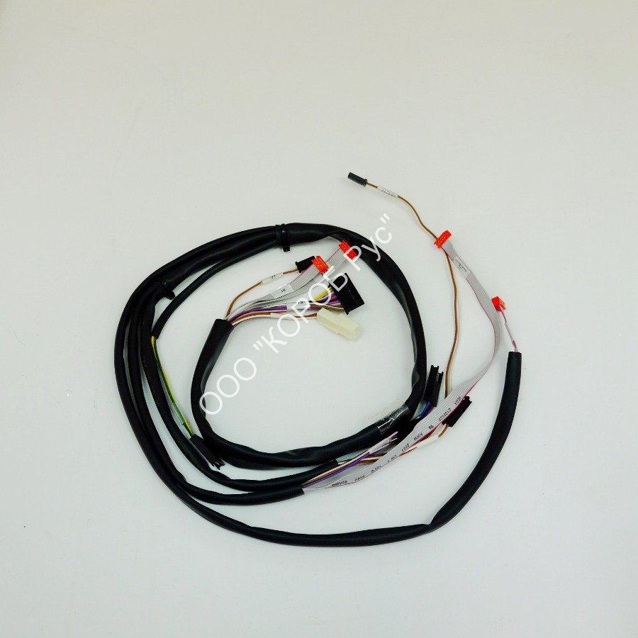 4005427 (65410TC043) Электропроводка FIRST 1
