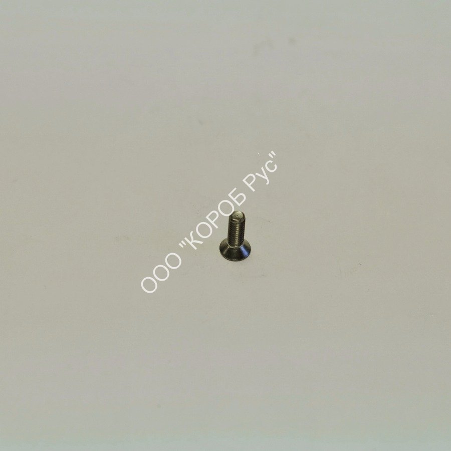 4019091 (CHAS000036) Винт 4х10 SimpleShake 40