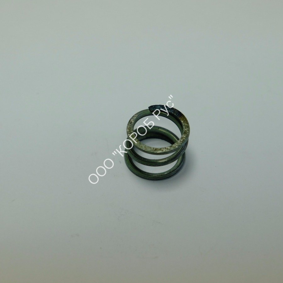 4019117 (CHAS000123) Пружина шкифа вала SimpleShake 40