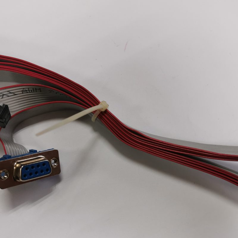 4000043 CABLE SERIAL 10 POLES FLAT D100